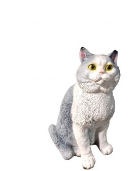 ŚREDNI SIEDZĄCY KOT BRYTYJSKI - model I