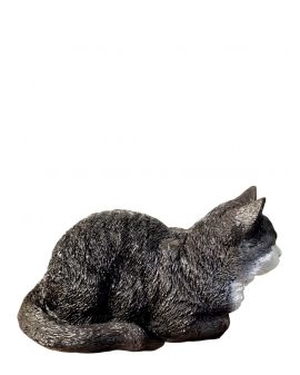 ŚREDNI LEŻĄCY KOT BRYTYJSKI - model I