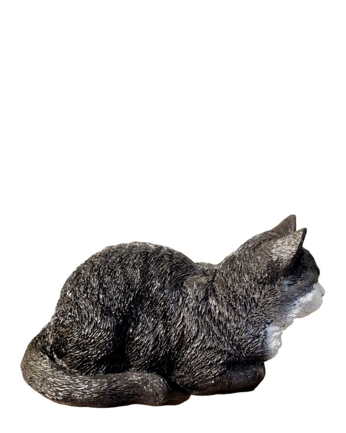 ŚREDNI LEŻĄCY KOT BRYTYJSKI - model I