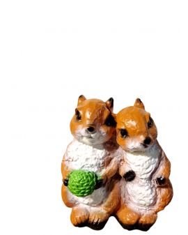 PODWÓJNE WIEWIÓRKI Z ORZECHEM