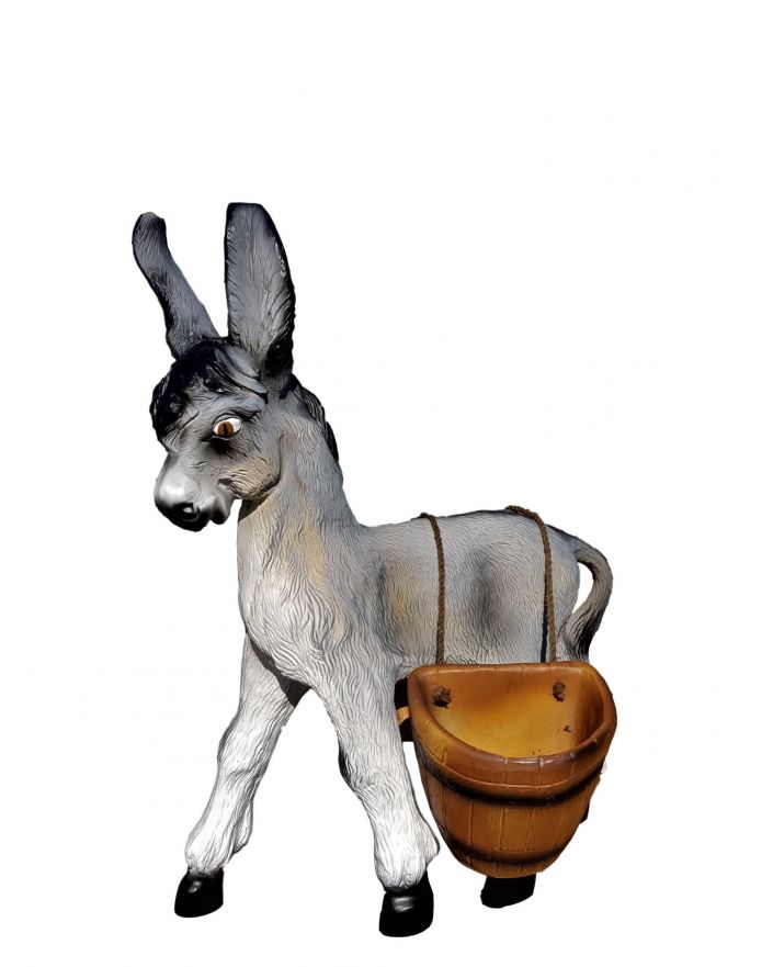 OSIOŁ Z JUKAMI - SIWY