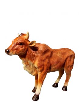 ŚREDNIA STOJĄCA KROWA / BYK model IVa