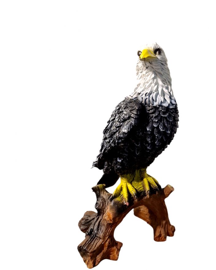 ORZEŁ SOKÓŁ NA PNIU model I