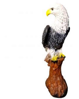 ORZEŁ SOKÓŁ - XL NA PNIU model I