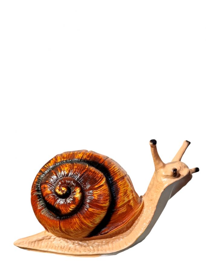 DUŻY ŚLIMAK model II