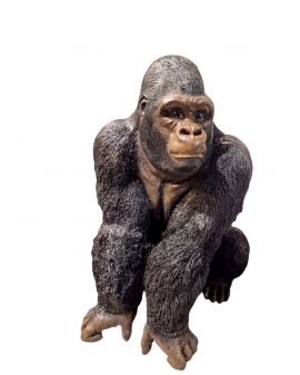 ŚREDNI GORYL - NOWOŚĆ