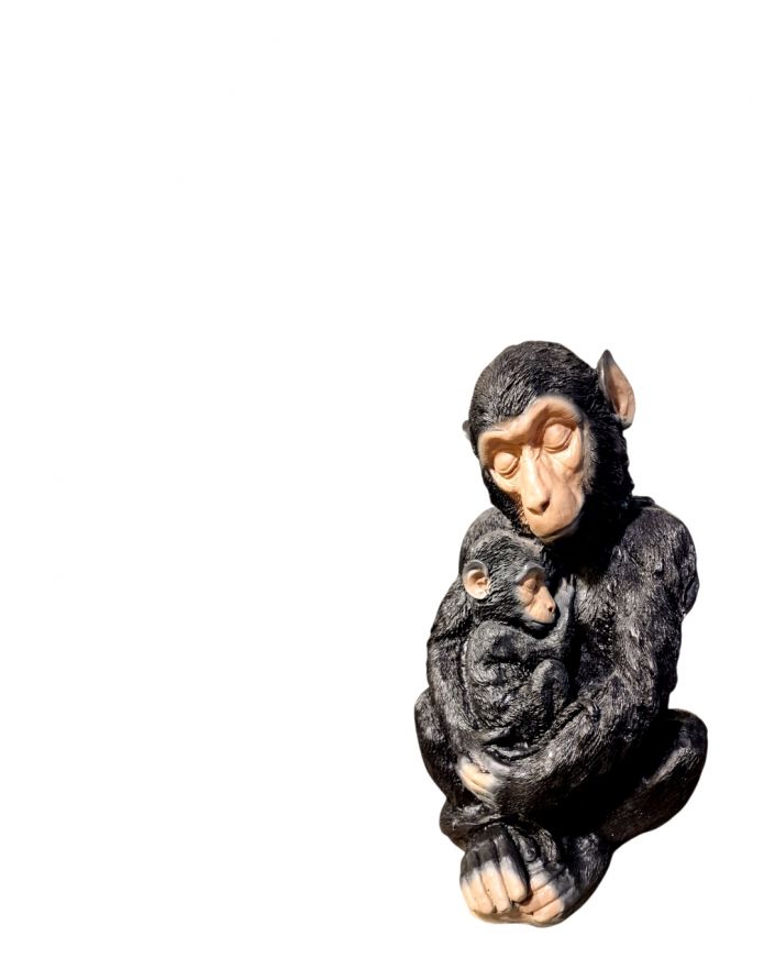 MAŁY GORYL MAŁPA SZYMPANS SIEDZĄCY Z MŁODYM