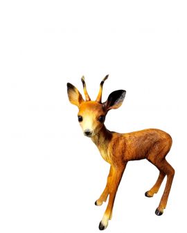 ŚREDNI JELEŃ / JELONEK STOJĄCY model III