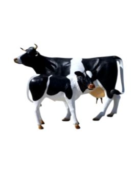 KROWA NATURALNYCH ROZMIARÓW Z CIELAKIEM - model I