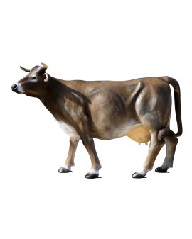 KROWA NATURALNYCH ROZMIARÓW - model VII