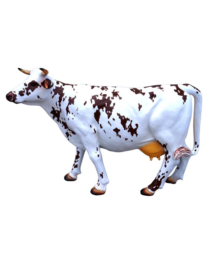 KROWA NATURALNYCH ROZMIARÓW - MODEL IIb