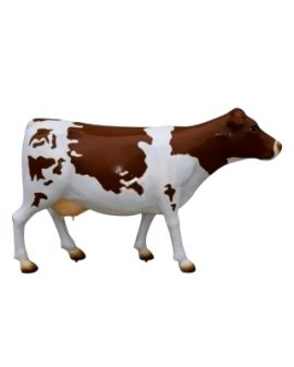 KROWA NATURALNYCH ROZMIARÓW - model VIII