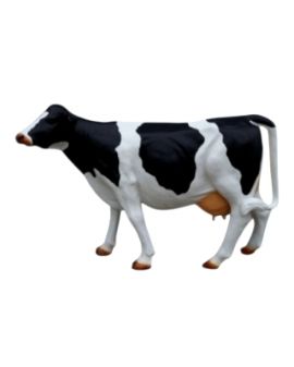 KROWA NATURALNYCH ROZMIARÓW - model VIIIa