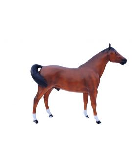 KOŃ OGIER - ROZMIAR XXL w brązowy