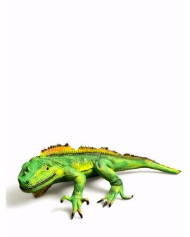 IGUANA / WARAN / LEGWAN model IIa