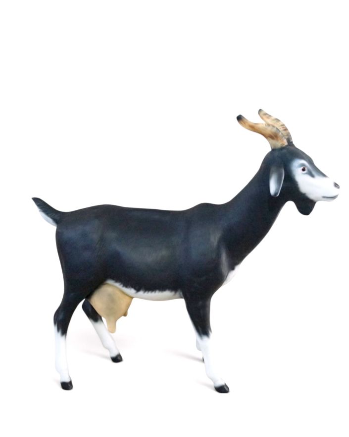 KOZA / KÓZKA MODEL IXc