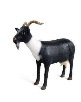 KOZA / KÓZKA MODEL VIb