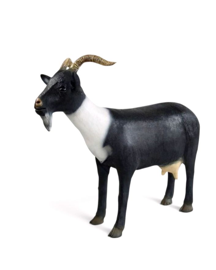KOZA / KÓZKA MODEL VIb