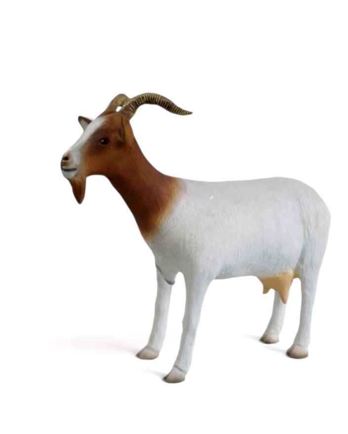 KOZA / KÓZKA MODEL VIc