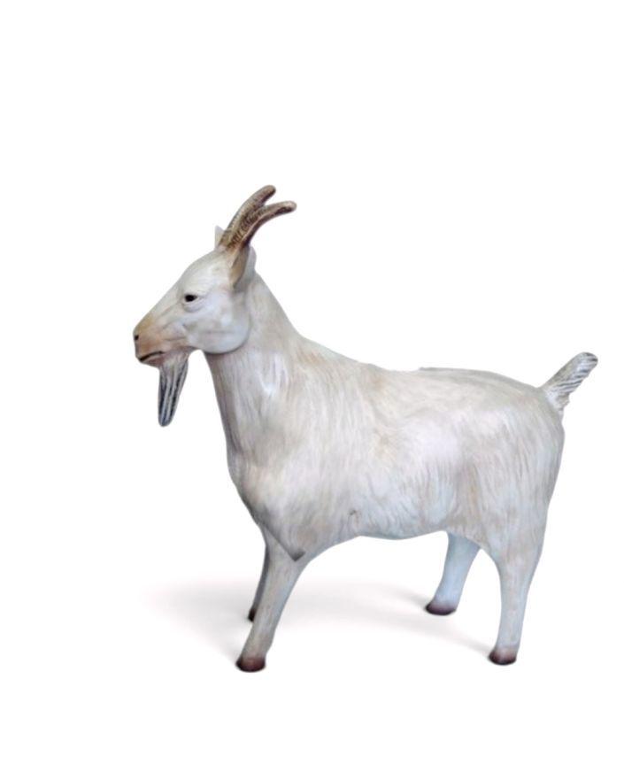 KOZA / KÓZKA MODEL V
