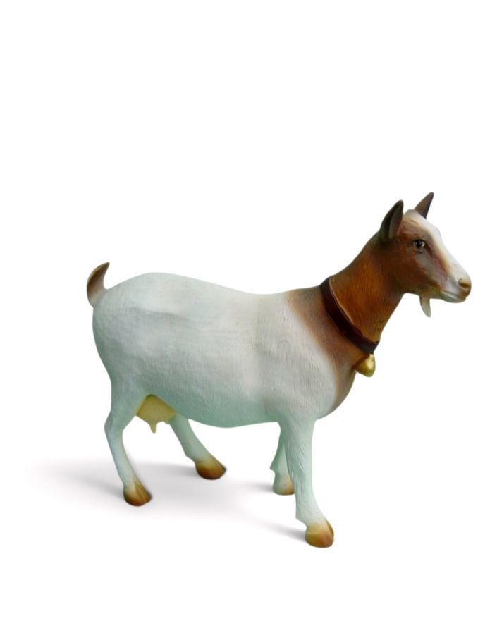 KÓZKA / KOZA MODEL III biało - brązowa
