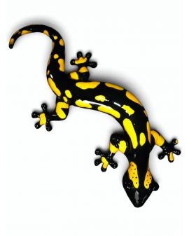 JASZCZURKA SALAMANDRA - DESIGN model VIII