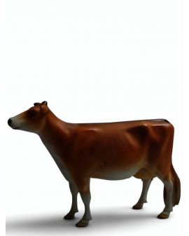 KROWA CIELAK XL STOJĄCY MODEL VIIIa